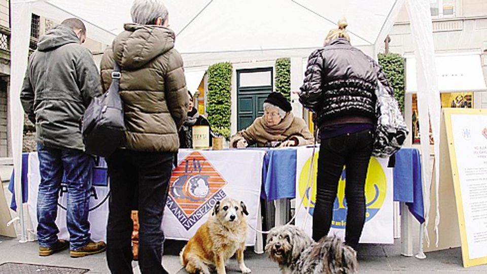 Lecco, il canile ha i giorni contati Sorte segnata: chiude a fine giugno Lecco, il canile ha i giorni contati Sorte segnata: chiude a fine giugno