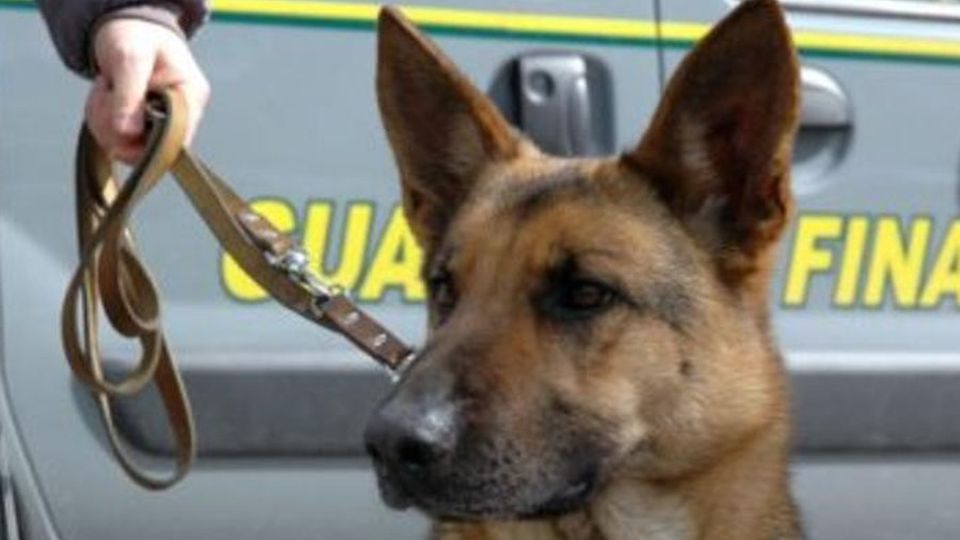 Blitz antidroga al Fiocchi “Presi” sei giovanissimi Blitz antidroga al Fiocchi “Presi” sei giovanissimi