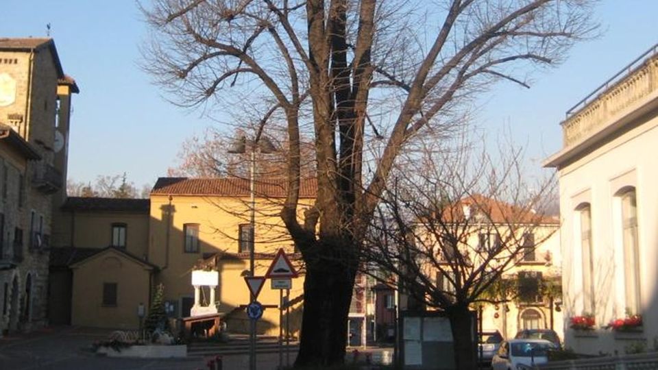 Addio al tiglio in piazza Garibaldi Era uno dei simboli di Imbersago Addio al tiglio in piazza Garibaldi Era uno dei simboli di Imbersago