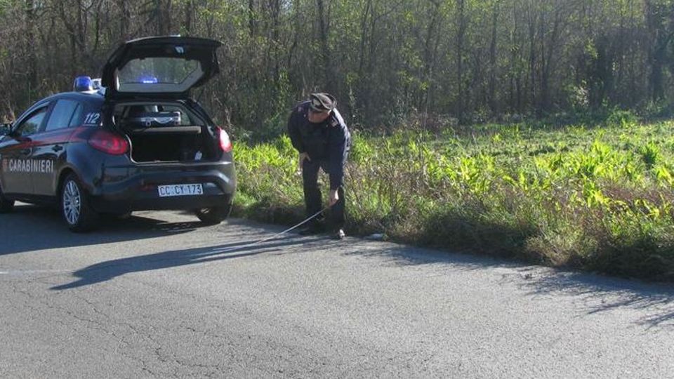 INVESTITA DA PIRATA DENUNCIATO MILANESE INVESTITA DA PIRATA DENUNCIATO MILANESE