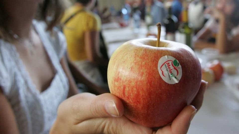 «Mele sotto pagate, colpa di Melavì» «Mele sotto pagate, colpa di Melavì»