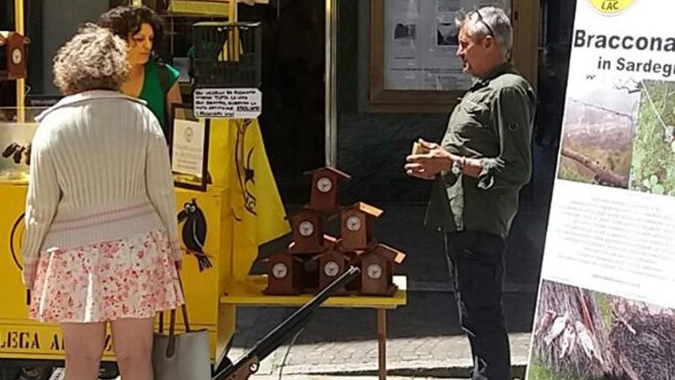 Cinghiali, aperta la caccia «Un pericolo per chi passeggia» Cinghiali, aperta la caccia «Un pericolo per chi passeggia»