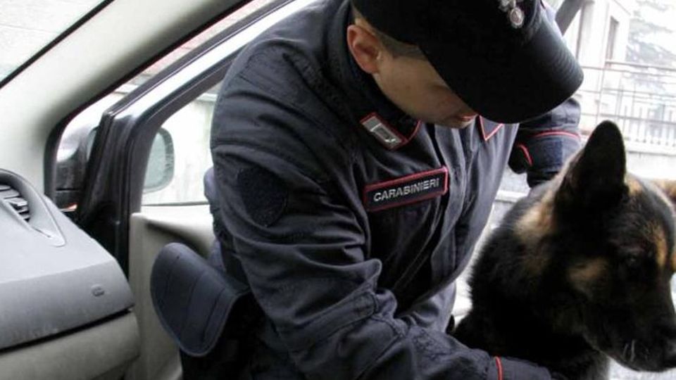 Nibionno, traffico internazionale di cocaina Condannato a cinque anni di carcere Nibionno, traffico internazionale di cocaina Condannato a cinque anni di carcere