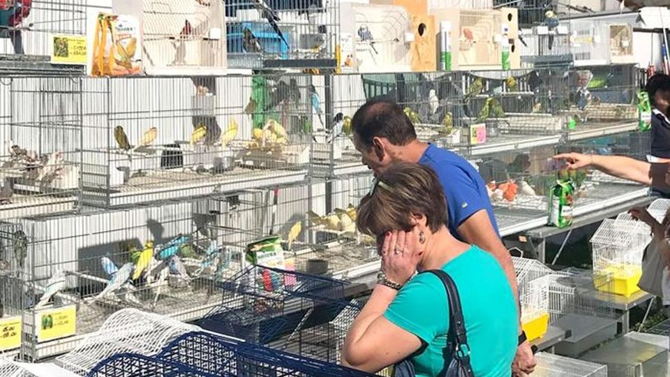 Fera di Usei, poche proteste Quattromila gli spettatori Fera di Usei, poche proteste Quattromila gli spettatori