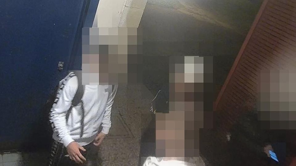 Una banda di ragazzini devasta il parco giochi Ripresi dalle telecamere Una banda di ragazzini devasta il parco giochi Ripresi dalle telecamere