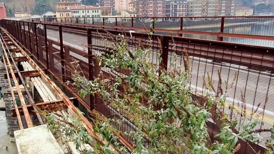Lecco. Sporcizia e arbusti Povero Ponte Vecchio Lecco. Sporcizia e arbusti Povero Ponte Vecchio