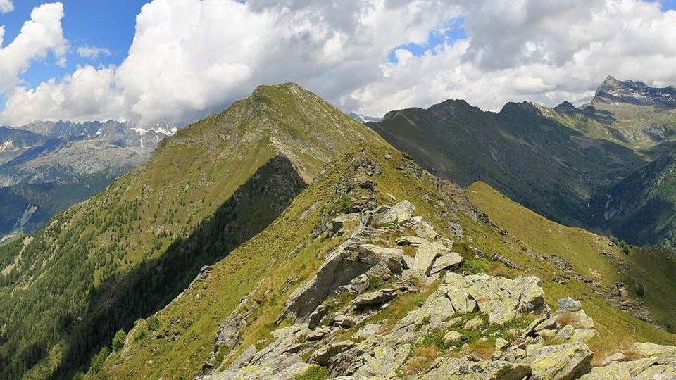 Runner morto, amici sotto choc «Simone, correrai per sempre con noi» Runner morto, amici sotto choc «Simone, correrai per sempre con noi»