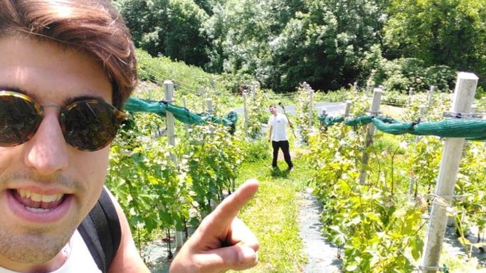 “Indovino”: ora Bacco abita anche a Casargo “Indovino”: ora Bacco abita anche a Casargo