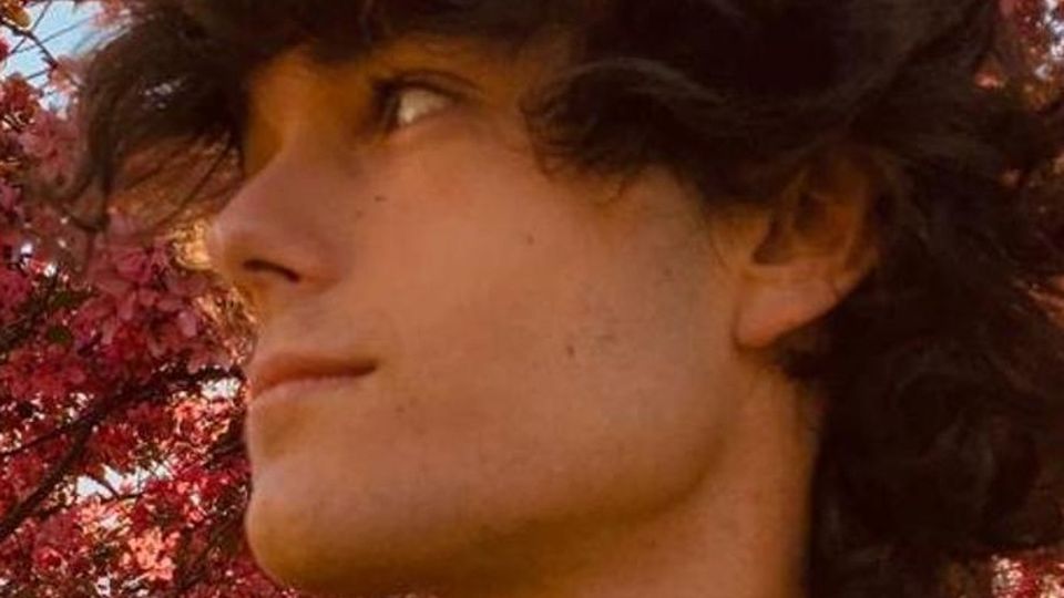Il record dei tre gemelli Tutti con il 100 alla maturità Il record dei tre gemelli Tutti con il 100 alla maturità