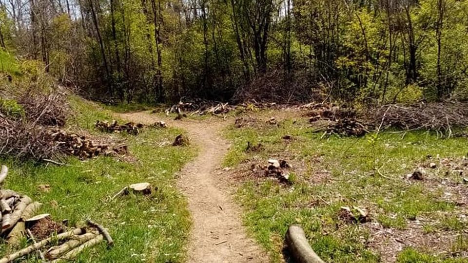 Casatenovo, Motodromo abusivo spianato dal contadino Casatenovo, Motodromo abusivo spianato dal contadino