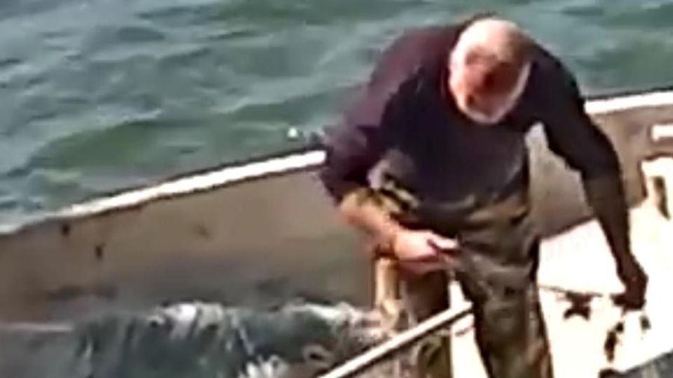 Garlate, reti nel lago durante la frega Bracconieri filmati e multati Garlate, reti nel lago durante la frega Bracconieri filmati e multati