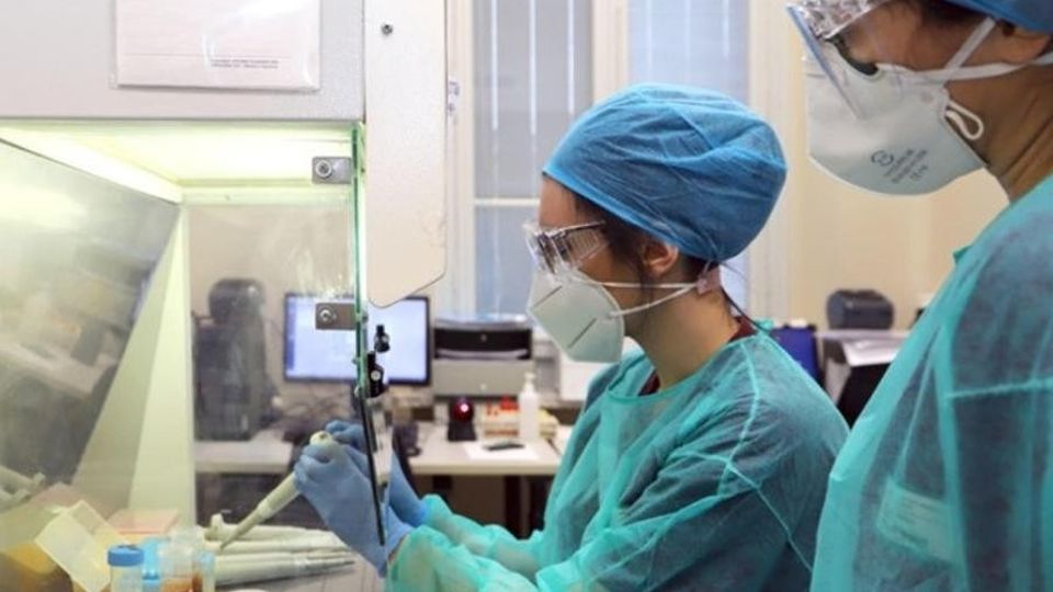 Il virologo: «Covid, estinte le varianti più pericolose» Il virologo: «Covid, estinte le varianti più pericolose»