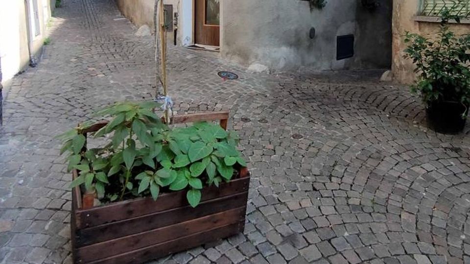 Lecco. Cantonieri e rioni Spazi pubblici più curati Lecco. Cantonieri e rioni Spazi pubblici più curati