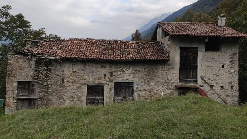 Parlasco, il furto va a vuoto: sgozzano cinque conigli Parlasco, il furto va a vuoto: sgozzano cinque conigli