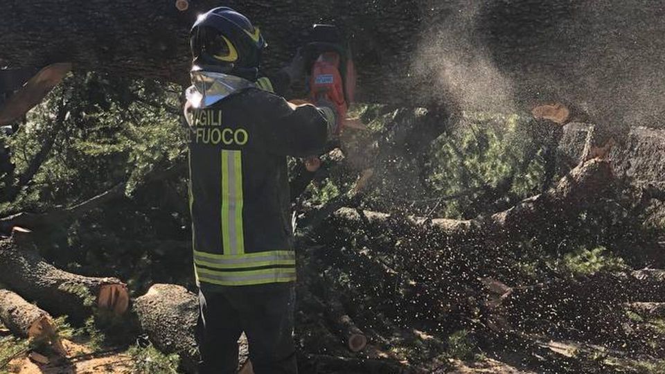 Galbiate e la provincia sferzati dal vento Crollano un albero e un palo della luce Galbiate e la provincia sferzati dal vento Crollano un albero e un palo della luce