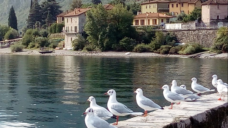 Oliveto, stop alle ristrutturazioni «Intralciano il turismo» Oliveto, stop alle ristrutturazioni «Intralciano il turismo»