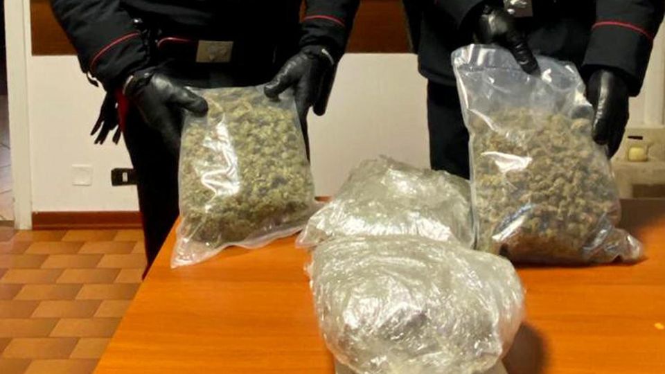 Bulciago, un chilo di marijuana nel bosco Blitz dei carabinieri tra le polemiche Bulciago, un chilo di marijuana nel bosco Blitz dei carabinieri tra le polemiche