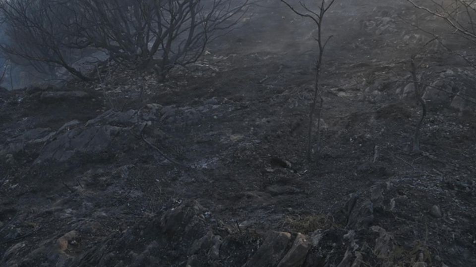 Fine dell’emergenza a Piona Bruciati 30 ettari di bosco Fine dell’emergenza a Piona Bruciati 30 ettari di bosco