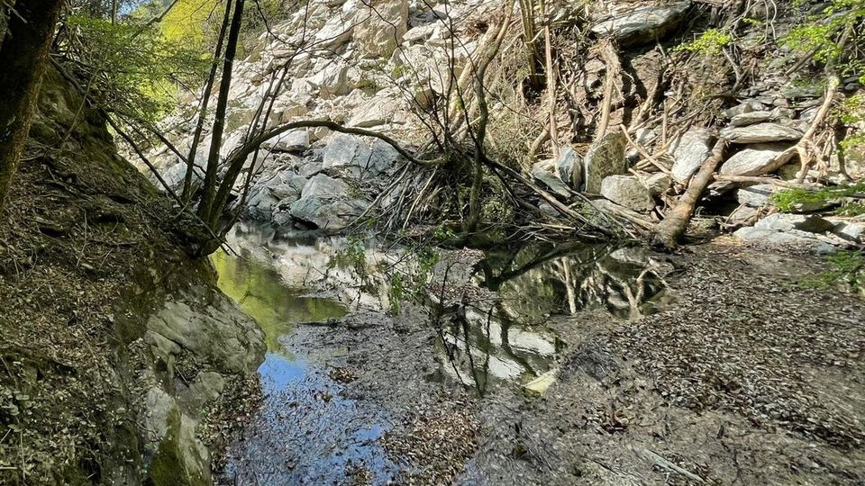 Frana si stacca dal monte e piomba nel torrente Varrone Frana si stacca dal monte e piomba nel torrente Varrone
