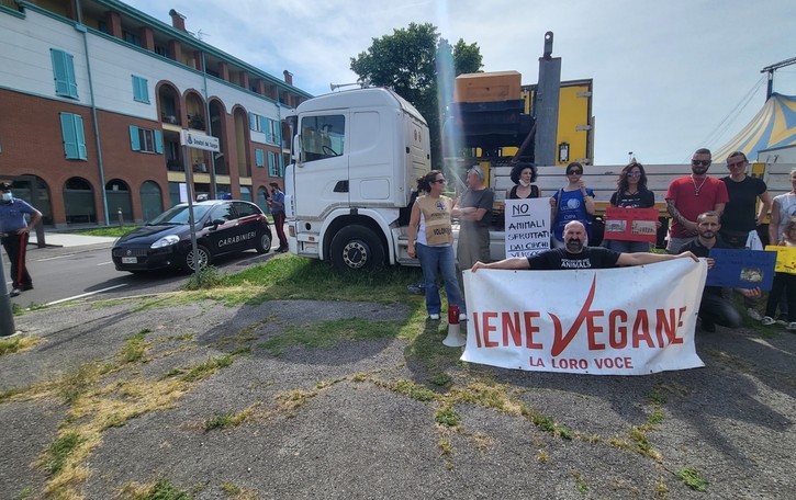 Flash mob degli animalisti a Oggiono Al circo di Roma arrivano i carabinieri