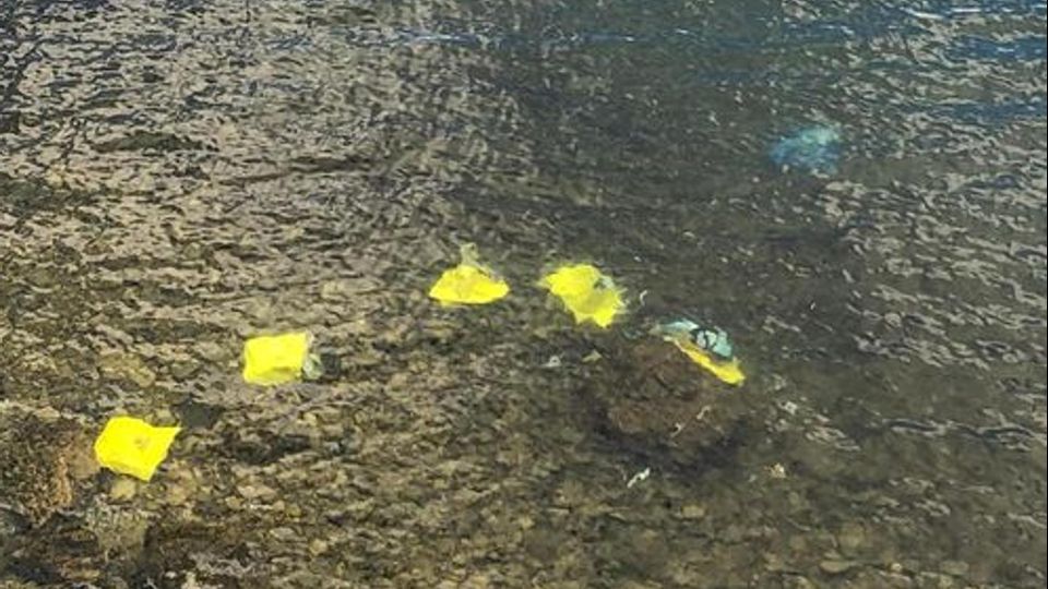 Oliveto, puliscono il lago e trovano le armi Ripescati sei sacchetti con un arsenale Oliveto, puliscono il lago e trovano le armi Ripescati sei sacchetti con un arsenale