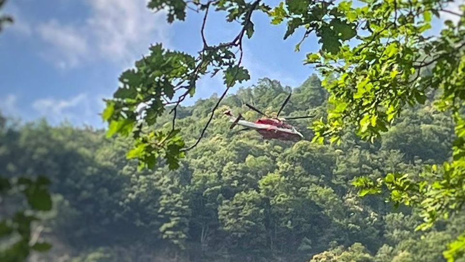 Esce per una passeggiata e non rientra a casa. Fatale la caduta nel bosco Esce per una passeggiata e non rientra a casa. Fatale la caduta nel bosco