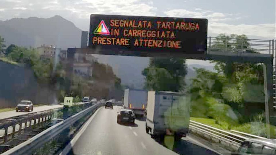 «Tartaruga sulla Statale» E il traffico si adegua «Tartaruga sulla Statale» E il traffico si adegua