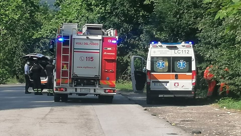 Allarme per un cadavere nel bosco. Ma sono solo i resti di un cervo morto Allarme per un cadavere nel bosco. Ma sono solo i resti di un cervo morto
