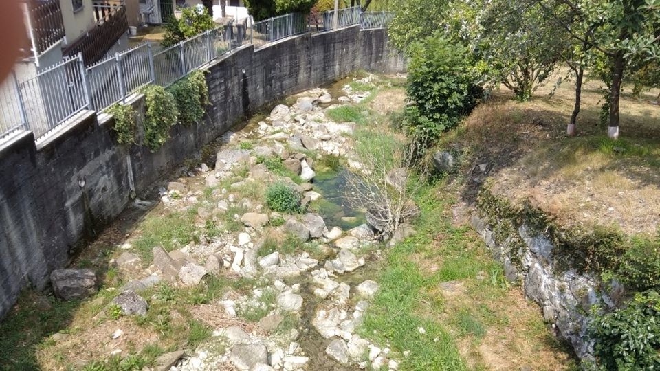 «I nostri torrenti? Biologicamente morti» «I nostri torrenti? Biologicamente morti»