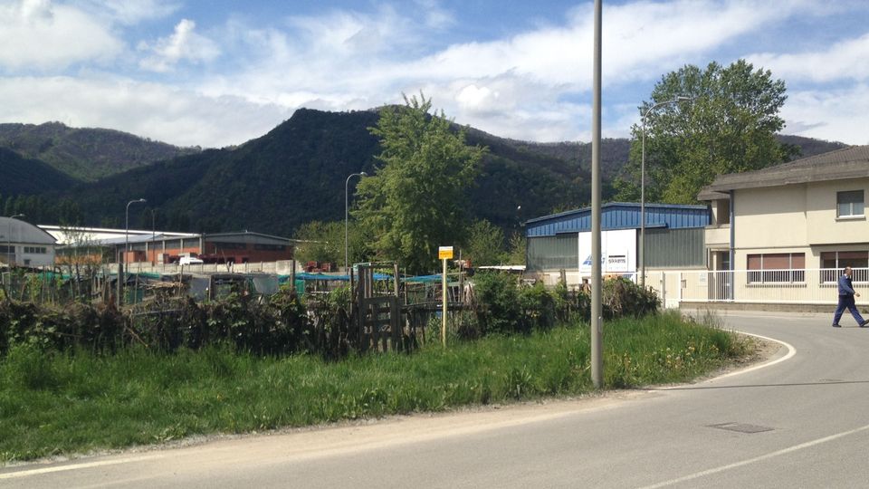 Olginate , specchietto: truffa a un anziano «Mio padre stordito e derubato» Olginate , specchietto: truffa a un anziano «Mio padre stordito e derubato»